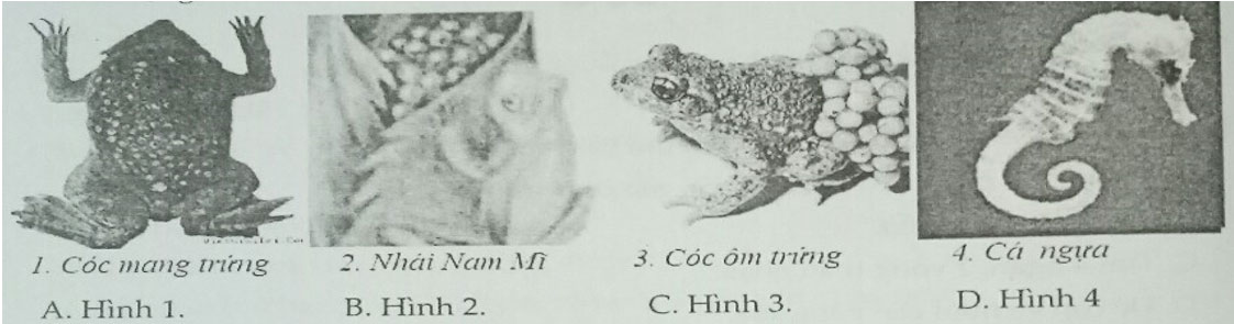 Đề kiểm tra Sinh học 7