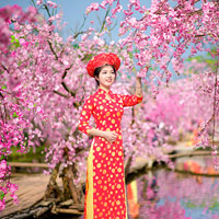 Giải SBT Vật lý 9 bài 25: Sự nhiễm từ sắt, thép - Nam châm điện