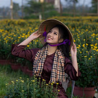 Giáo án Công nghệ 11 bài 14: Ôn tập phần vẽ kĩ thuật