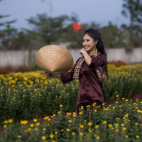 Giáo án Công nghệ 11 bài 15: Vật liệu cơ khí