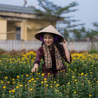 Giáo án Công nghệ 11 bài 18: Thực hành: Lập quy trình công nghệ chế tạo một chi tiết đơn giản trên máy tiện