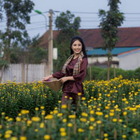 Giáo án Công nghệ 11 bài 19: Tự động hóa trong chế tạo cơ khí