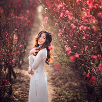 Giáo án Công nghệ 11 bài 29: Hệ thống đánh lửa