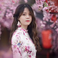 Giáo án an toàn giao thông lớp 2 - Bài 5: Phương tiện giao thông đường bộ