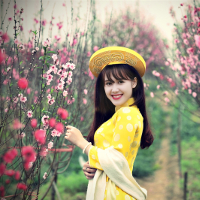 Bài tập Tiếng Anh lớp 6 Unit 8 Out And About (số 1)