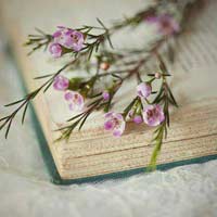 Đề thi giữa học kì 2 môn Tiếng việt lớp 5 năm học 2017 - 2018