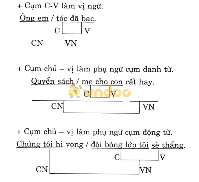 Giải bài tập Ngữ văn lớp 7 bài 25: Dùng cụm chủ - vị để mở rộng câu