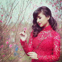 Bài tập Tiếng Anh lớp 7 Unit 12: Let's Eat (số 1)