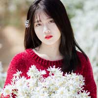 Giải bài tập Ngữ văn lớp 7 bài 5: Sông núi nước Nam