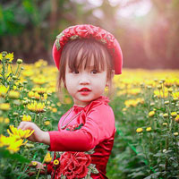 Giáo án an toàn giao thông lớp 1 - Bài 3: Đèn tín hiệu giao thông