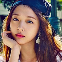 Giáo án Tiếng Anh lớp 12 Unit 10: Endangered species - Lesson 4