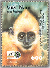 Sưu tập và tìm hiểu tem bưu chính 2018