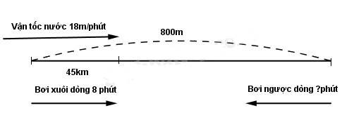 Giải vở bài tập Toán 5