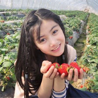 Giáo án Mỹ thuật lớp 5 bài 25: Thường thức mĩ thuật - Xem tranh Bác Hồ đi công tác