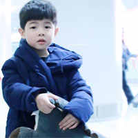 Giáo án Mỹ thuật lớp 5 bài 6: Vẽ trang trí - Họa tiết trang trí đối xứng qua trục