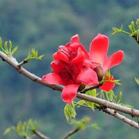 Toán lớp 2 nâng cao chương 10: Trừ ba chữ số