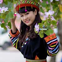 Giải bài tập Ngữ văn lớp 7 bài 12: Thành ngữ