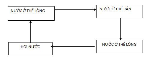 Giải bài tập SGK Khoa học 4