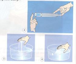 Giải bài tập SGK Khoa học 4