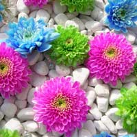 Giải bài tập SGK Lịch sử 4 bài 20: Ôn tập