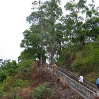 Giải bài tập SGK Lịch sử 4 bài 21: Trịnh - Nguyễn phân tranh