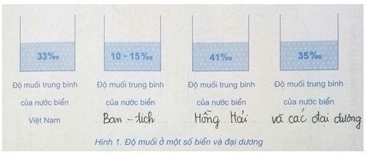 Tập bản đồ Địa lí 6