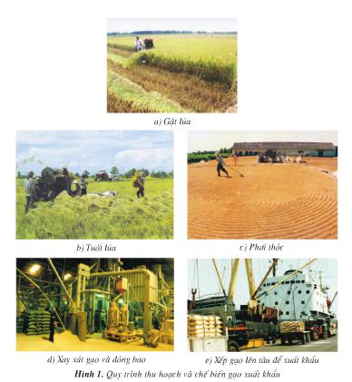 Giải bài tập Địa lý 4