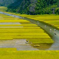 Giải bài tập SGK Địa lí 4 bài 20: Hoạt động sản xuất của người dân ở Đồng bằng Nam Bộ (tiếp theo)