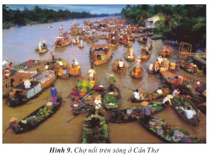 Giải bài tập SGK Địa lý 4