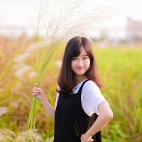 Bài tập Tiếng Anh lớp 6 Unit 13: Activities and the Seasons (Số 2)