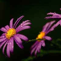 Đề thi giữa học kì 2 môn Toán lớp 5 trường Tiểu học Vạn Phúc, Hải Dương năm 2017 - 2018