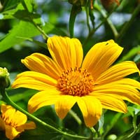 Đề thi giữa học kì 2 môn Toán lớp 4 trường tiểu học Cư Kty, Đắk Lắk năm 2017 - 2018