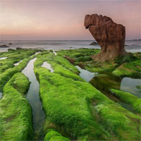 Trắc nghiệm Sinh học 6 bài 38