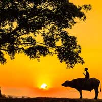 Tập đọc nhạc lớp 7 số 9 bài Trường làng tôi