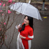 Bài tập trắc nghiệm Địa lí 12 bài 23: Thực hành Phân tích sự chuyển dịch cơ cấu ngành trồng trọt