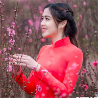 Bài tập trắc nghiệm Địa lí 12 bài 27: Vấn đề phát triển một số ngành công nghiệp trọng điểm