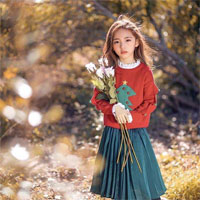 Giáo án Mỹ thuật 4 bài 2: Chúng em với thế giới động vật - Tiết 3