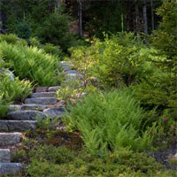 Trắc nghiệm Sinh học 6 bài 39