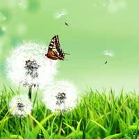 Toán lớp 2 nâng cao chương 12: Phép cộng - phép trừ