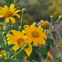 Đề thi học kì 2 môn Toán lớp 4 trường Tiểu học Trần Quang Khải năm học 2016 - 2017