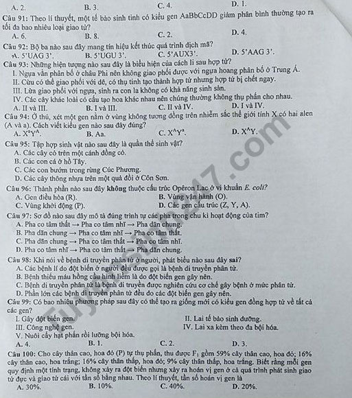 Đề thi thử THPT Quốc gia môn Sinh học năm 2018