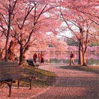 Trắc nghiệm Sinh học 6 bài 46