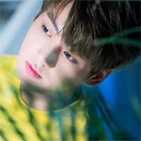 Đề thi học sinh giỏi môn Địa lý lớp 11 tỉnh Bình Định năm học 2017 - 2018