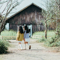 Giáo án an toàn giao thông lớp 4 - Bài 2: Vạch kẻ đường, cọc tiêu và rào chắn