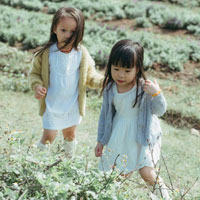 Giáo án an toàn giao thông lớp 4 - Bài 3: Đi xe đạp an toàn