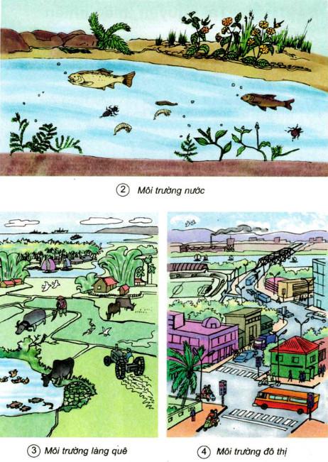 Giải bài tập Khoa học 5