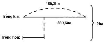 Giải vở bài tập Toán 5
