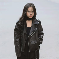 Giáo án Mĩ thuật Đan Mạch lớp 3 bài 3: Con vật quen thuộc - Tiết 1