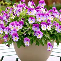 Toán lớp 2 nâng cao chương 14: Đơn vị đo