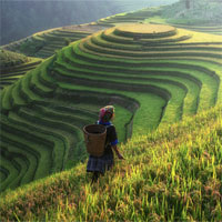 Tập bản đồ Địa lý lớp 8 bài 36: Đặc điểm đất Việt Nam